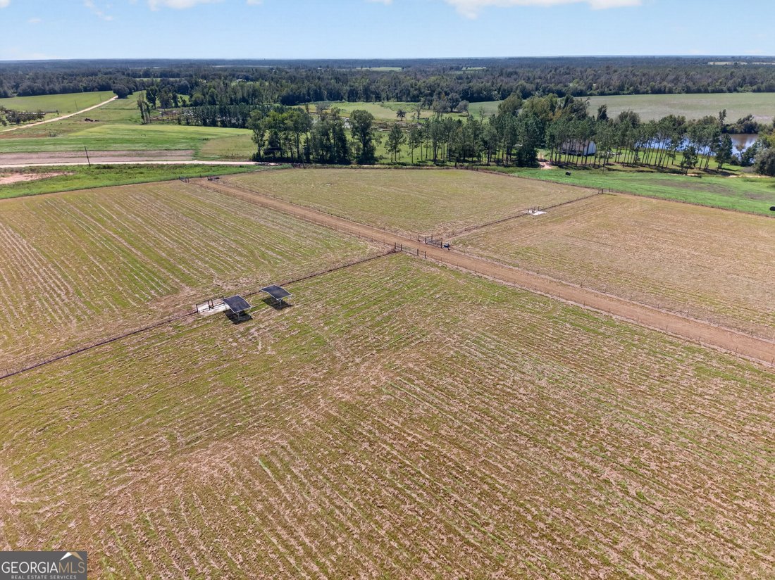 Farm Ranch in Mount Vernon, Georgia, United States 3 - 18969729