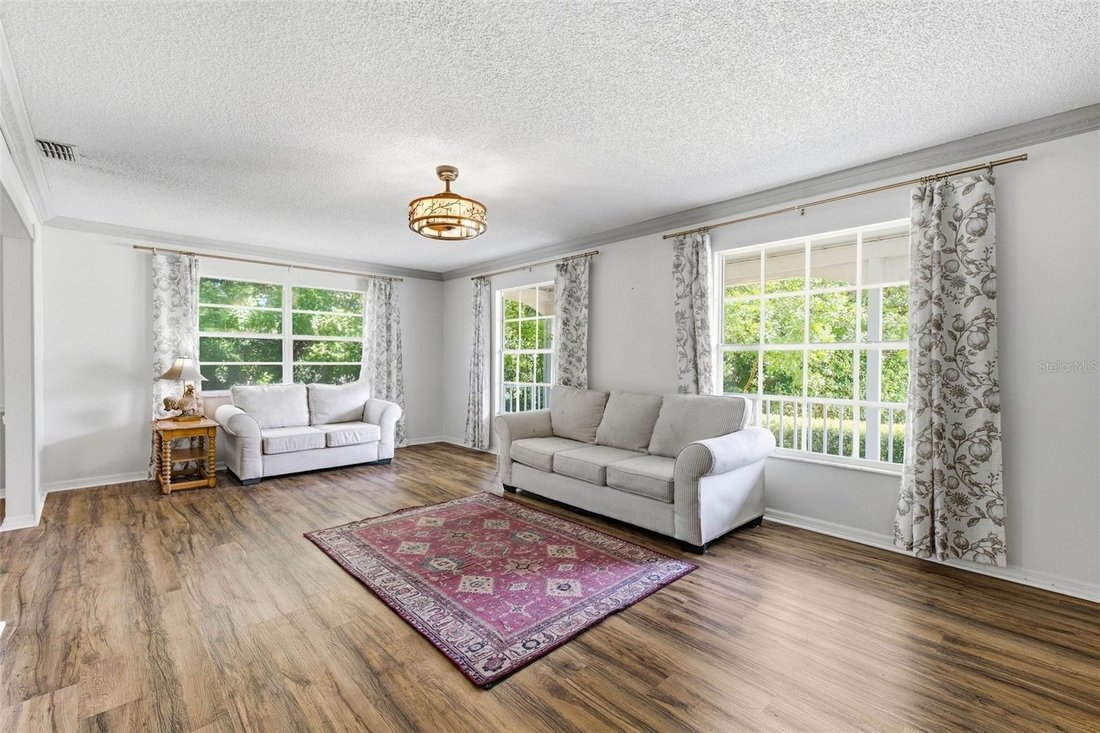 House in Palm Harbor, Florida, United States 4 - 18969049