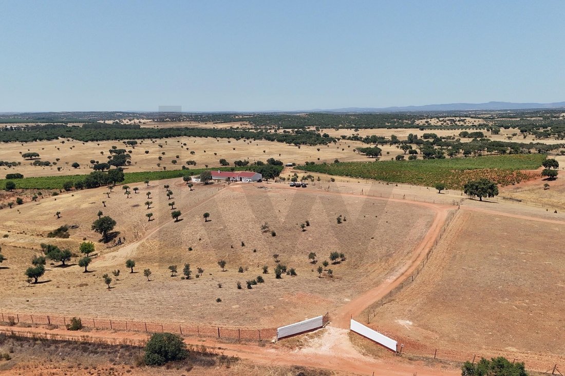 Farm Ranch in Redondo, Évora District, Portugal 4 - 18973792