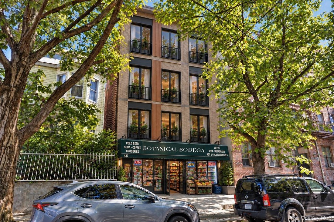House in New York, New York, United States 4 - 18973849