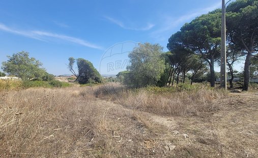 Land in São João das Lampas, Lissabon, Portugal 1