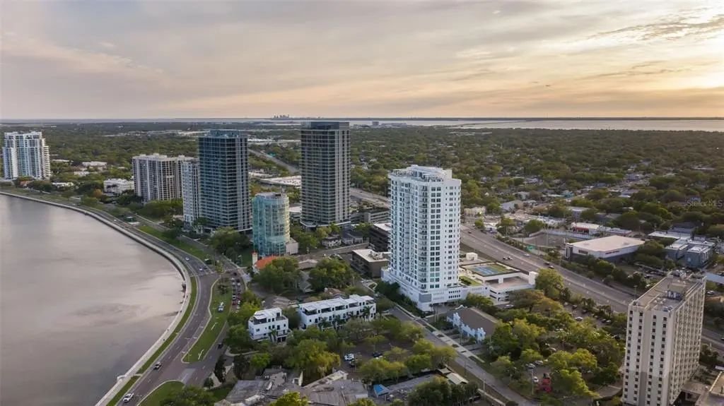 Condo in Tampa, Florida, United States 1 - 18978550