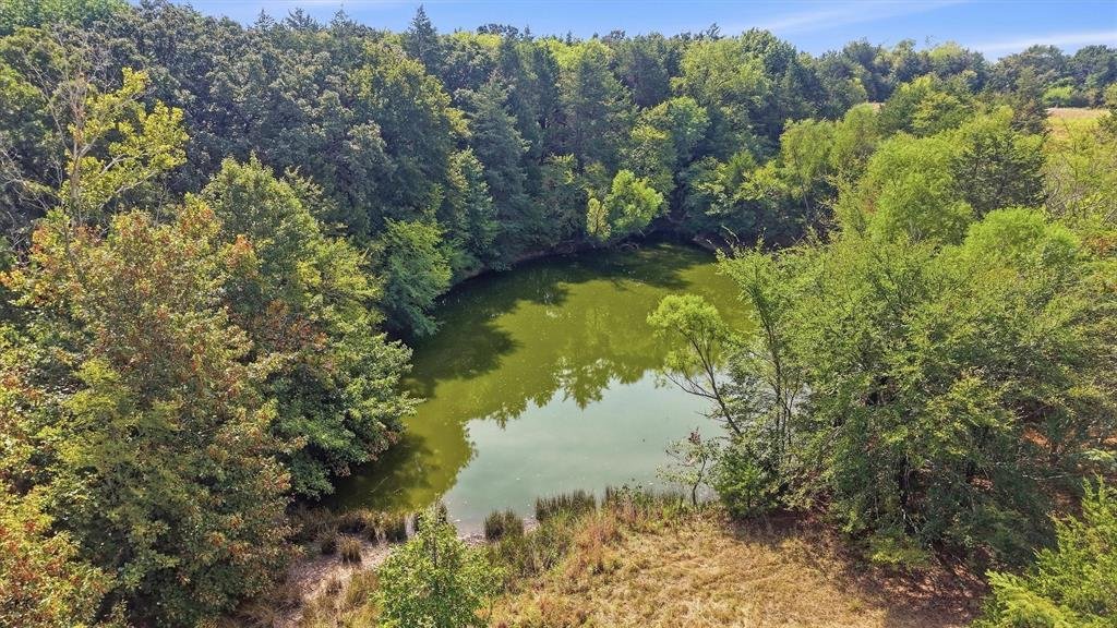 Farm Ranch in Denison, Texas, United States 5 - 18973793