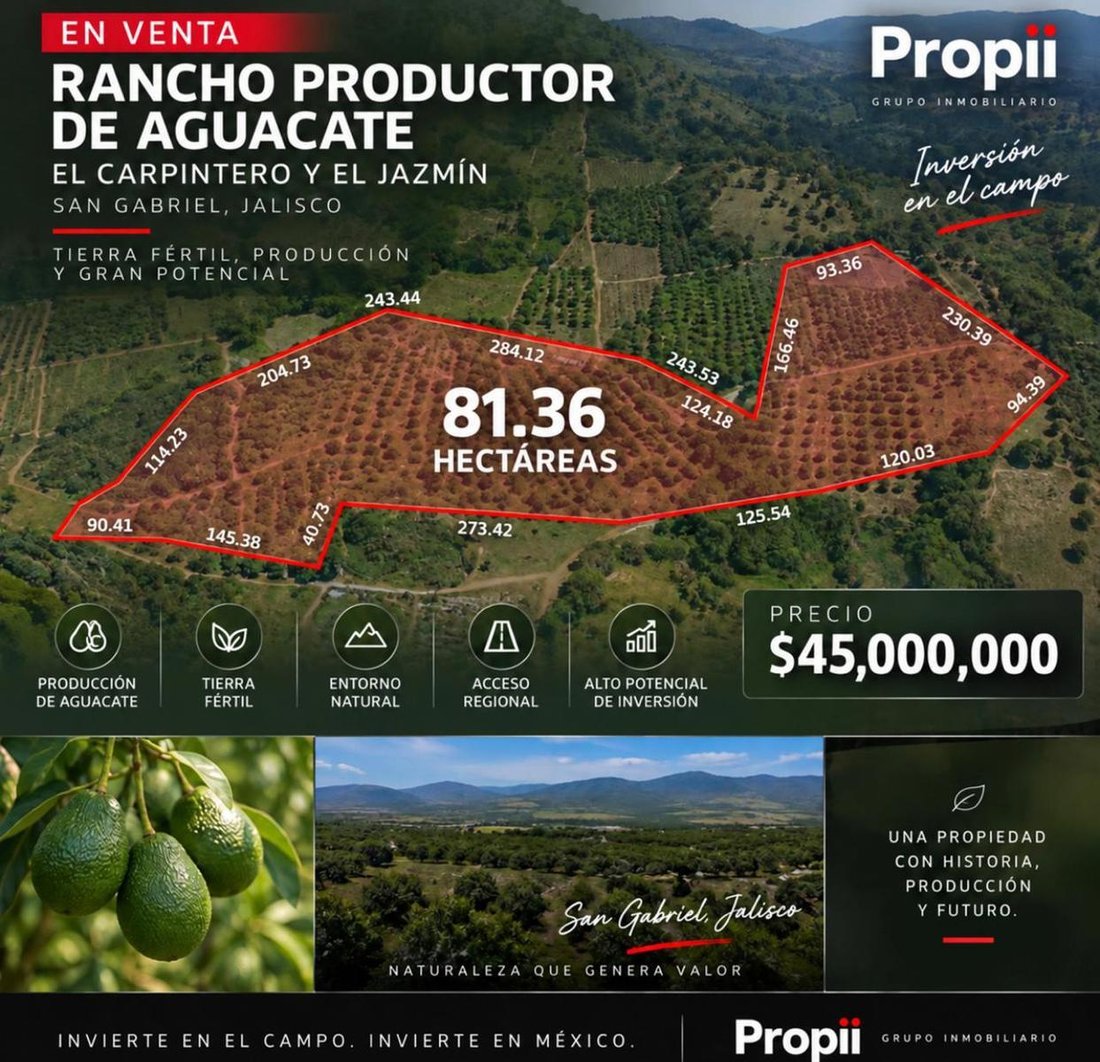 Land in San Gabriel, Jalisco, Mexico 1 - 18550458