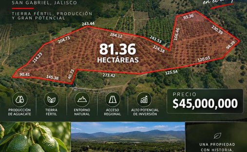 Land in San Gabriel, Jalisco, Mexico 1
