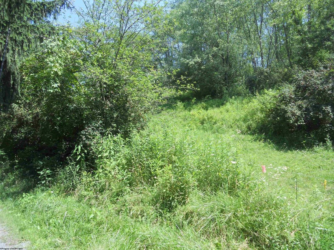 Land in Maidsville, West Virginia, United States 4 - 18369664