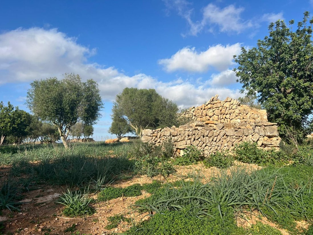 Land in es Llombards, Santanyi, Balearic Islands 3 - 18968811