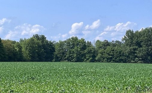 Land in Mount Orab, Ohio, United States 1