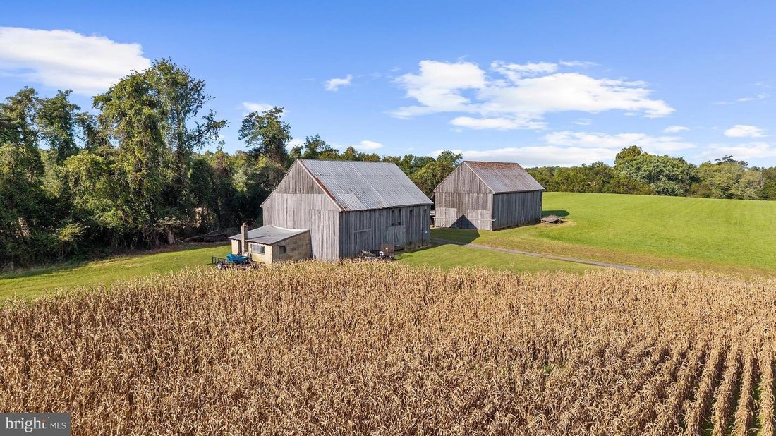 Farm Ranch in Owings, Maryland, United States 5 - 18981522