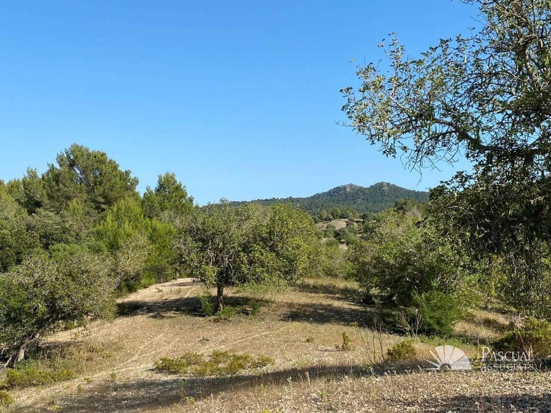 Finca in Arta, Balearic Islands, Spain 4 - 18667844