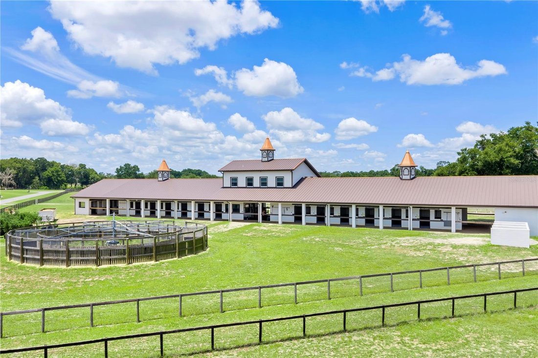 Farm Ranch in Reddick, Florida, United States 4 - 18978022