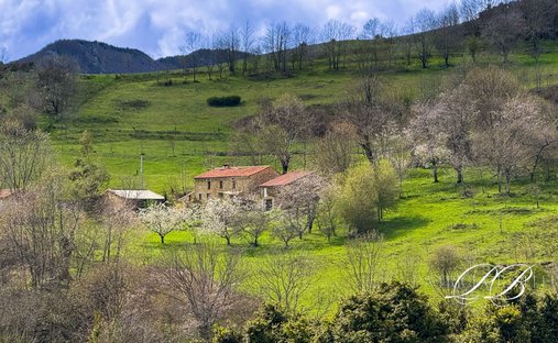 Villa in Montferrer, Occitania, France 1