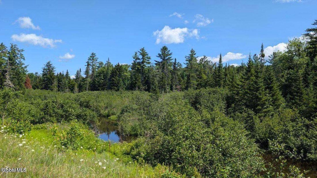 Land in Raquette Lake, New York, United States 5 - 18218490