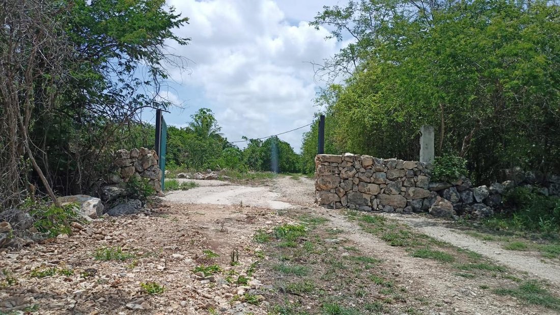Land in Mocochá, Yucatan, Mexico 1 - 18966821
