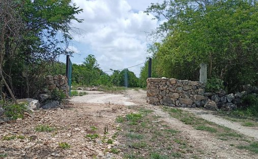 Land in Mocochá, Yucatan, Mexico 1