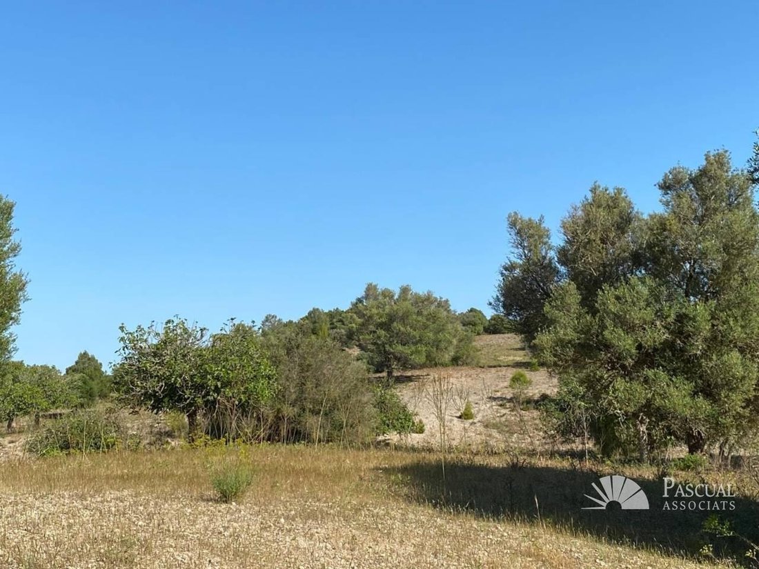 Finca in Arta, Balearic Islands, Spain 5 - 18667844