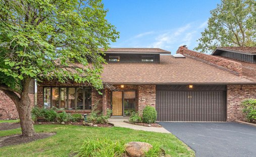 Condo in Palos Hills, Illinois, United States 1