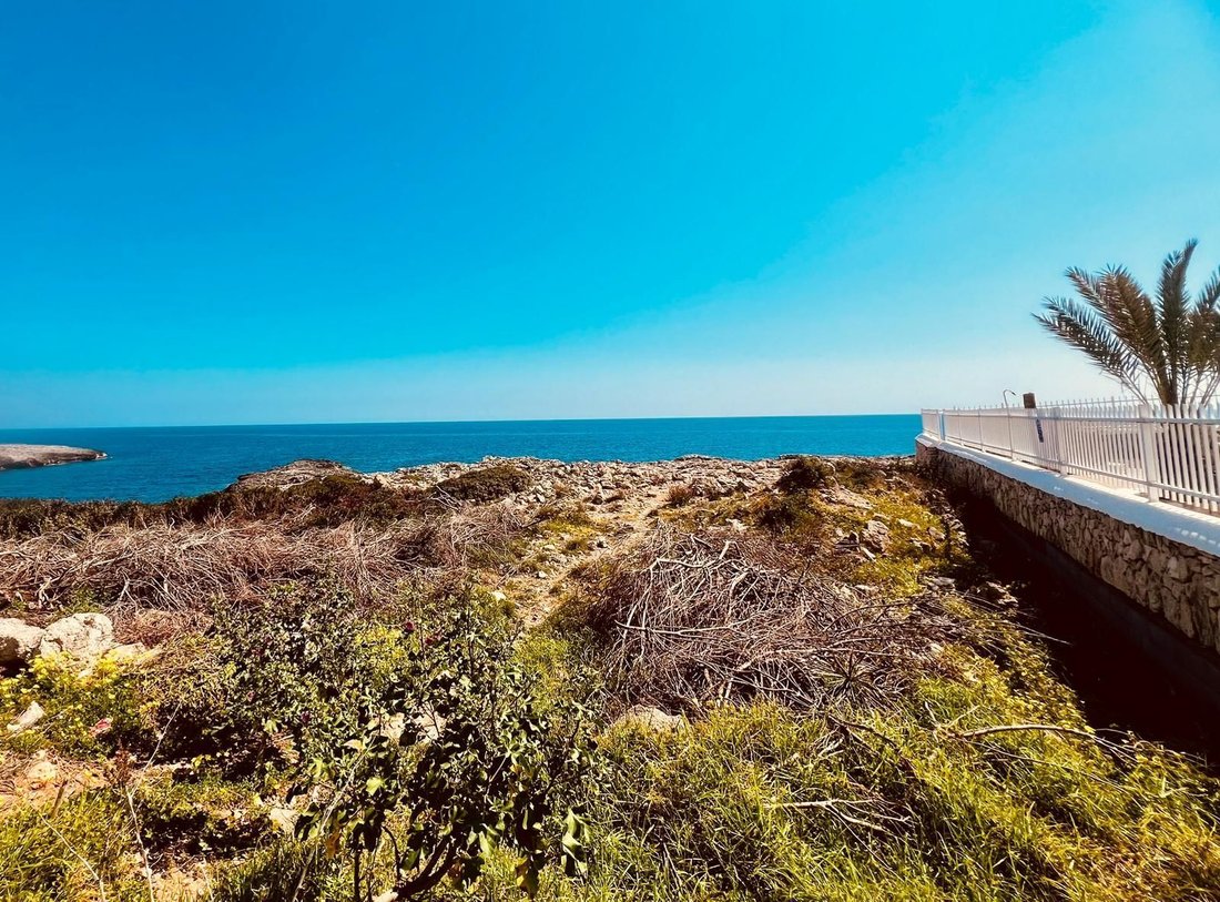 Santanyi, Balearic Islands, Spain 5 - 18968579