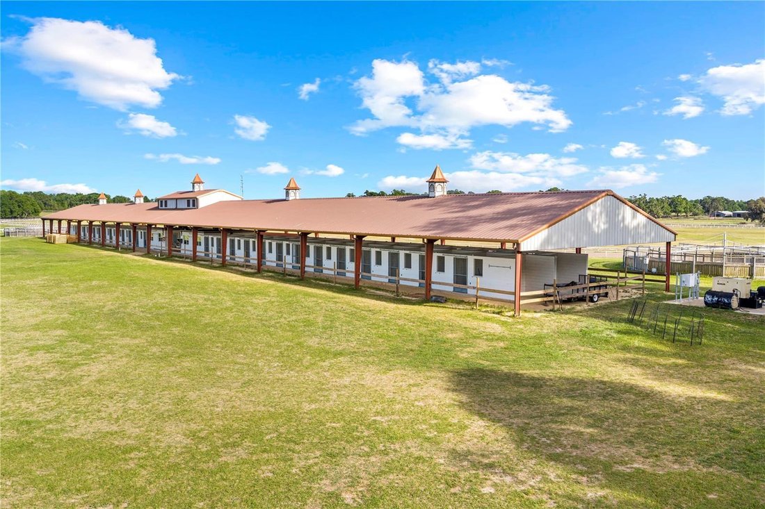 Farm Ranch in Reddick, Florida, United States 3 - 18978020