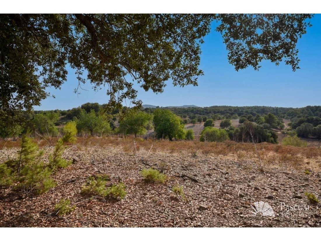 Finca in Arta, Balearic Islands, Spain 3 - 18667844