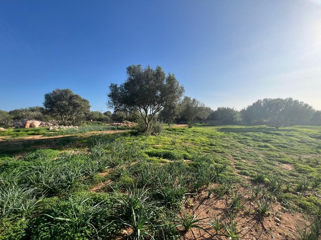 Land in es Llombards, Santanyi, Balearic Islands 2 - 18968811