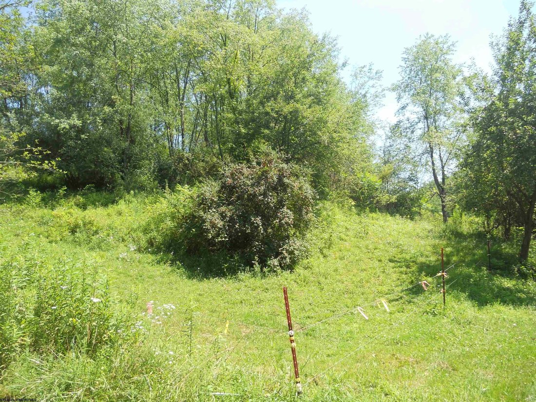 Land in Maidsville, West Virginia, United States 3 - 18369664
