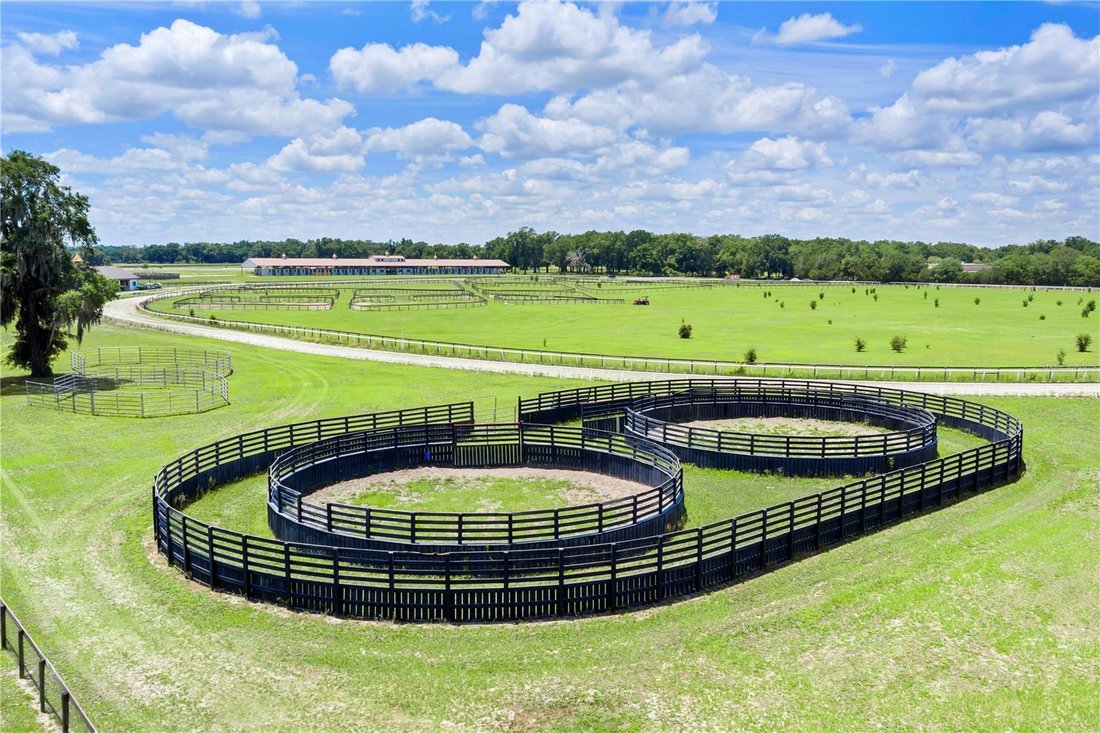 Farm Ranch in Reddick, Florida, United States 3 - 18978022