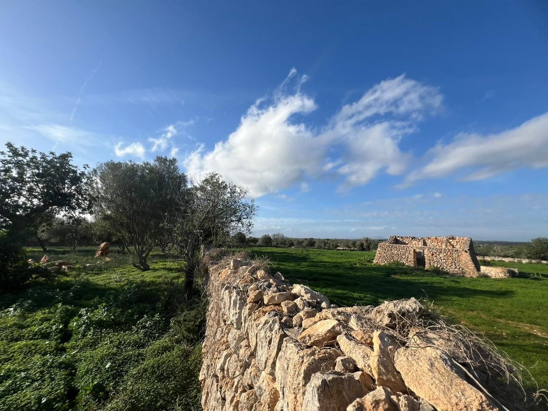 Land in es Llombards, Santanyi, Balearic Islands 4 - 18968811