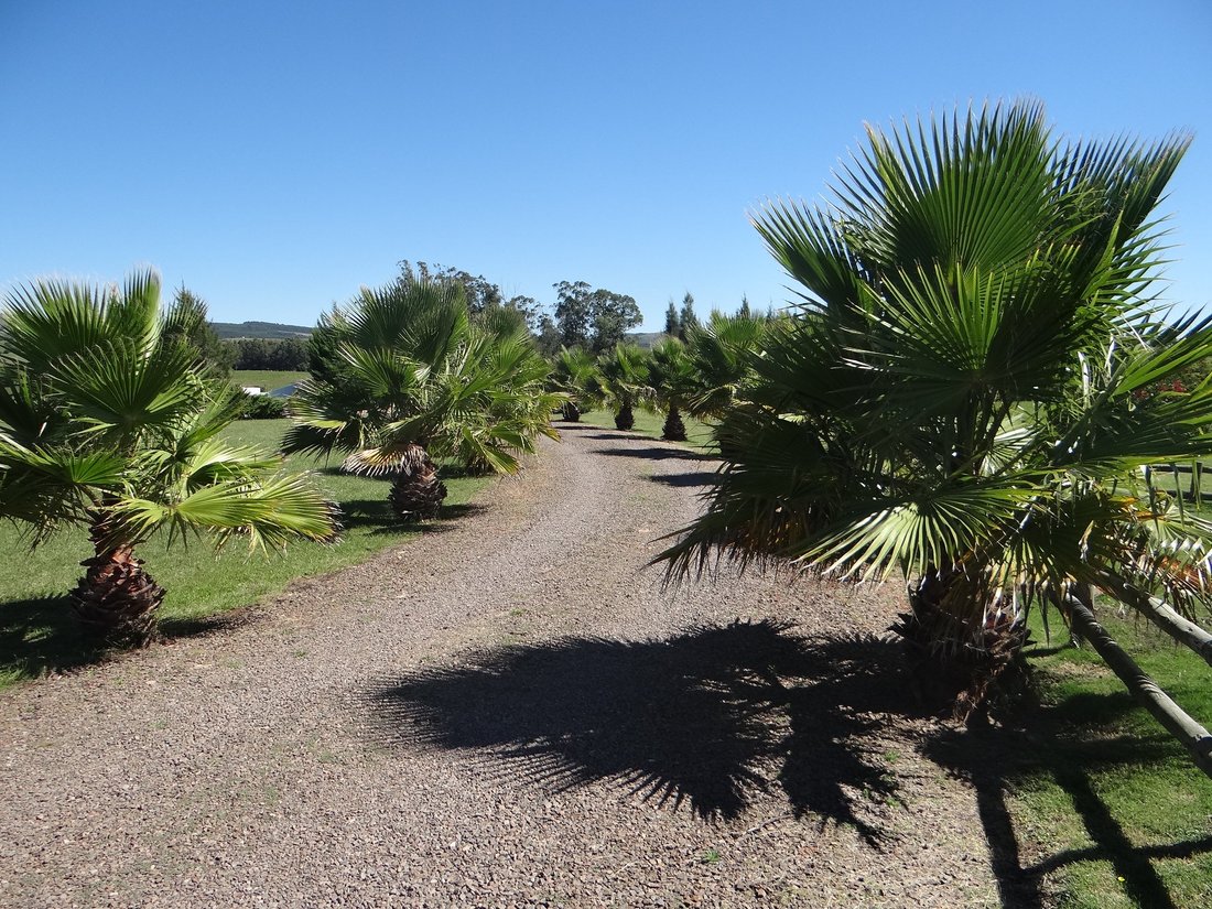 Farm Ranch in El Edén, Maldonado Department, Uruguay 4 - 18980306