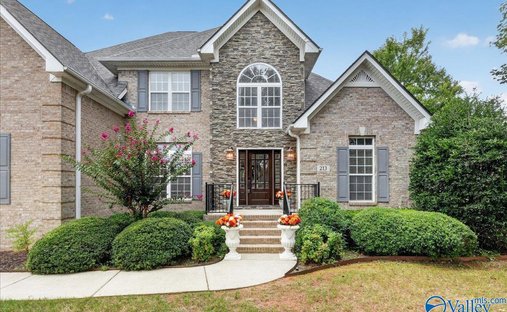House in Madison, Alabama, United States 1