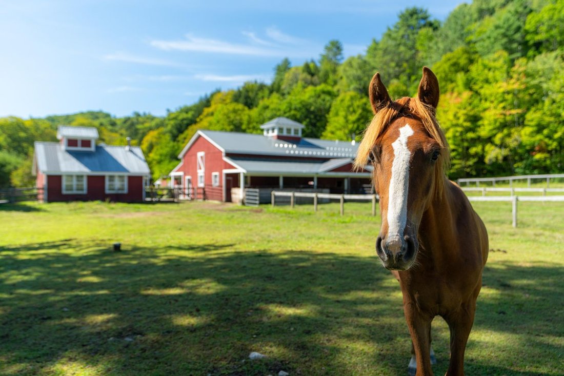 House in Grafton, Vermont, United States 4 - 18974966
