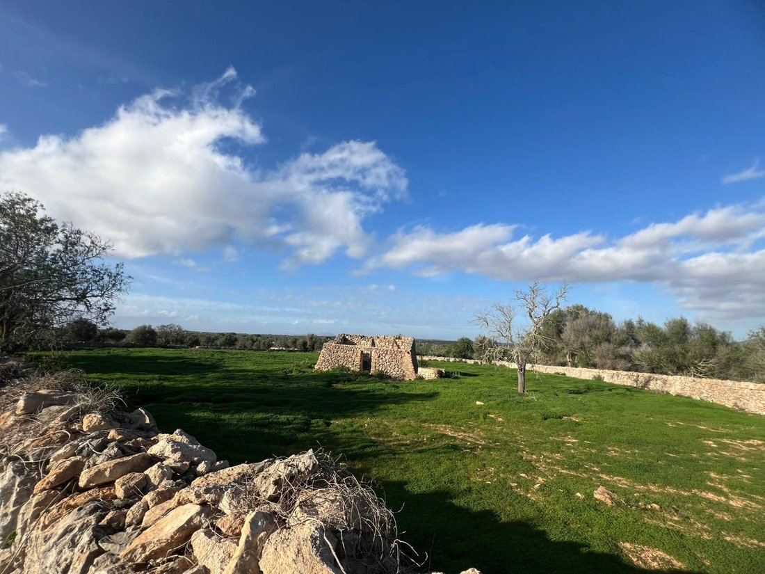 Land in es Llombards, Santanyi, Balearic Islands 5 - 18968811