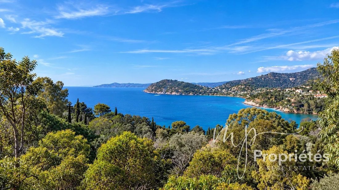 Land in Rayol-Canadel-sur-Mer, Provence-Alpes-Côte d'Azur, France 1 - 18971319
