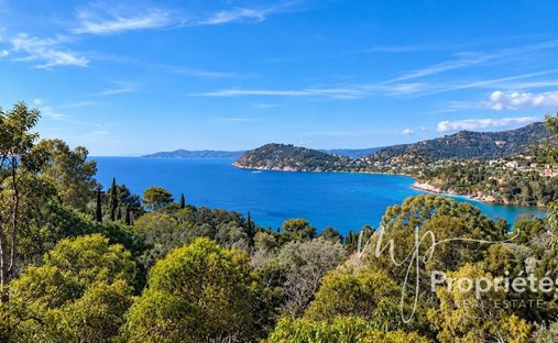 Land in Rayol-Canadel-sur-Mer, Provence-Alpes-Côte d'Azur, France 1