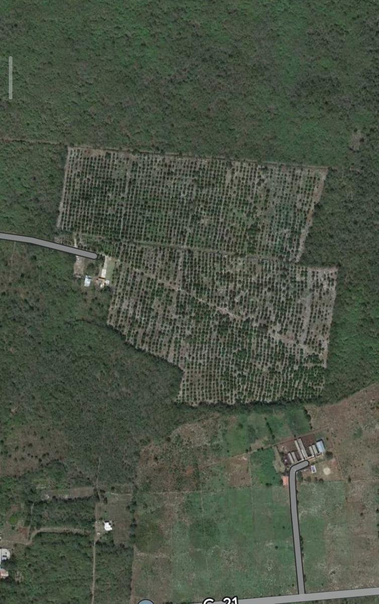 Land in Mocochá, Yucatan, Mexico 2 - 18966821