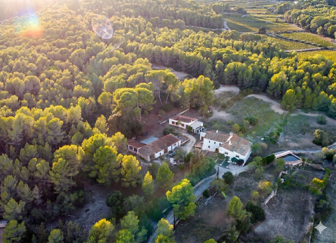 Farm Ranch in Sant Pere de Ribes, Catalonia, Spain 1 - 18981686