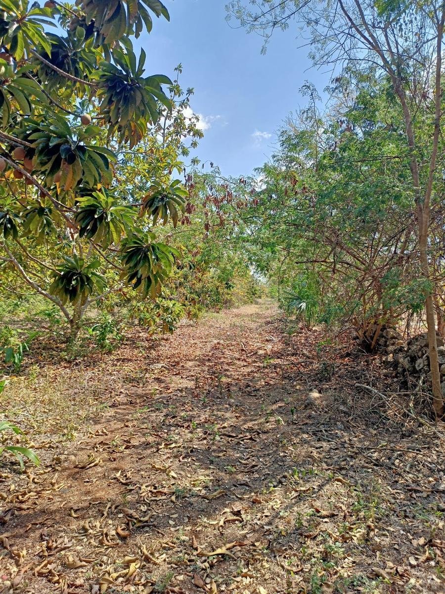 Terreno a Mocochá, Yucatán, Messico 1 - 18966821