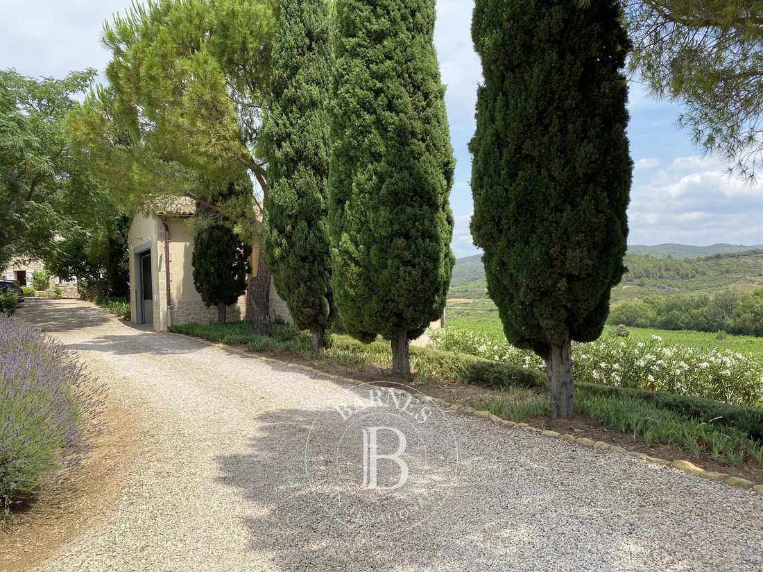 Country House in Saint-Pargoire, Occitania, France 2 - 14911081