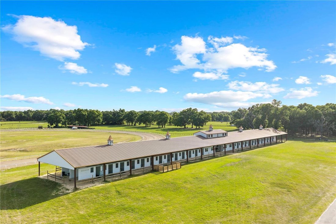 Farm Ranch in Reddick, Florida, United States 4 - 18978020