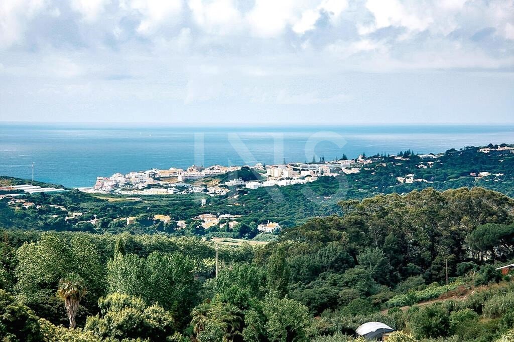 Land in Colares, Lisbon, Portugal 1 - 18976573