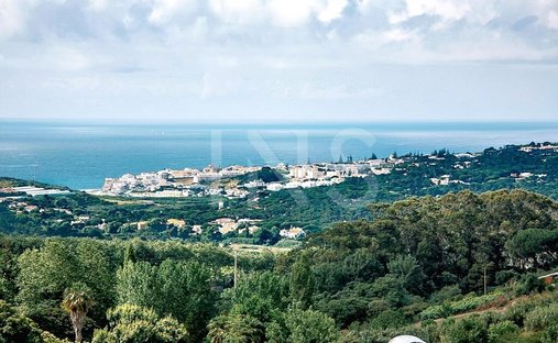 Land in Colares, Lissabon, Portugal 1