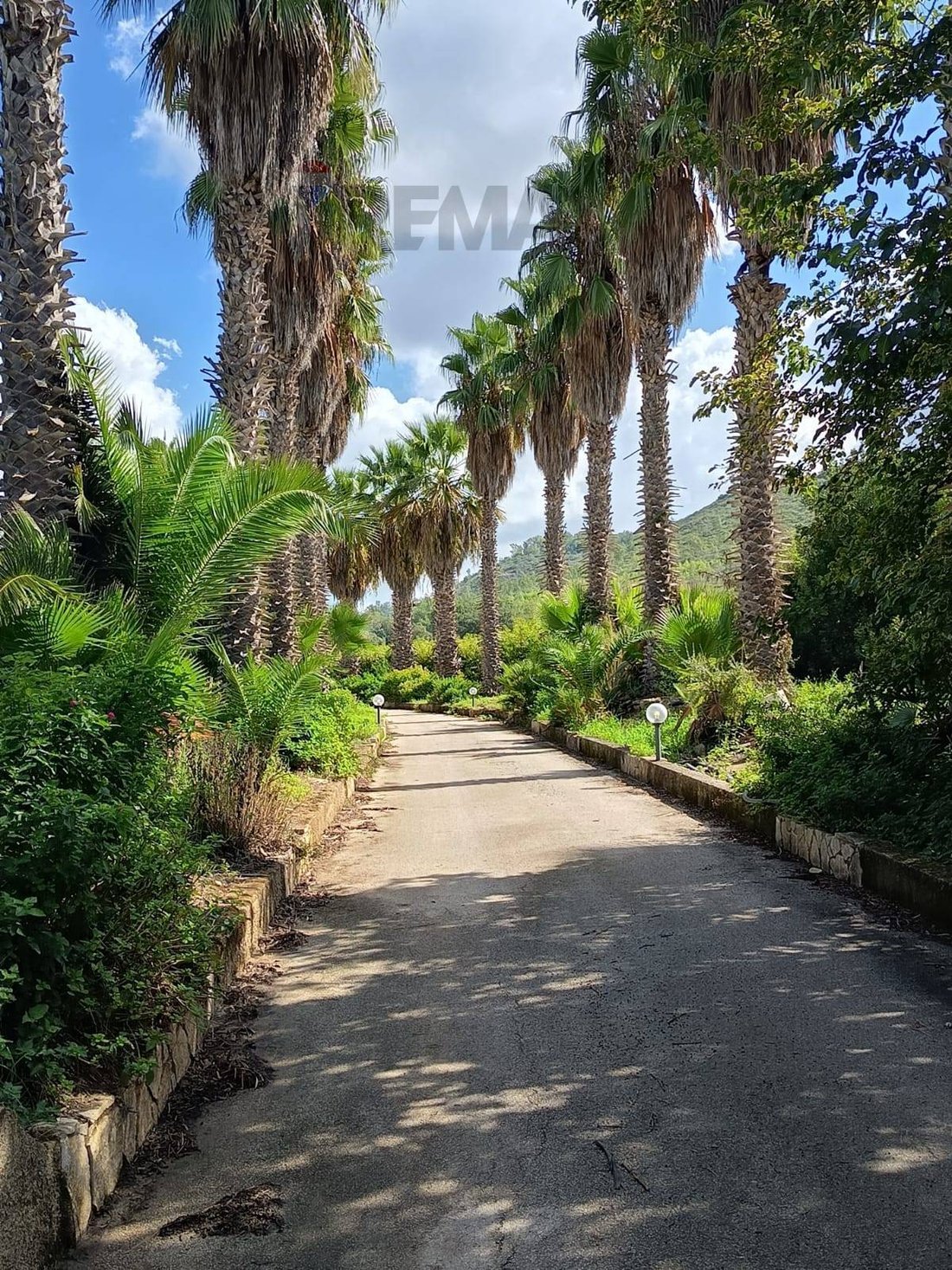Farm Ranch in Mineo, Sicily, Italy 1 - 16763195