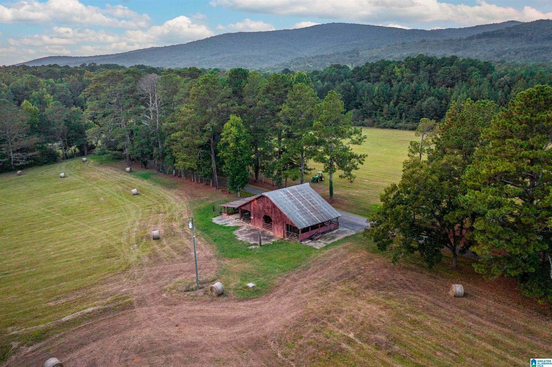 House in Anniston, Alabama, United States 2 - 18969731