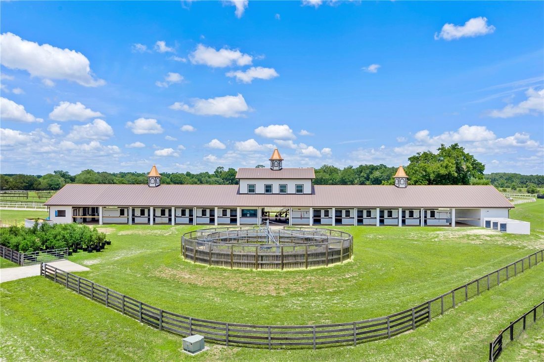 Farm Ranch in Reddick, Florida, United States 5 - 18978022
