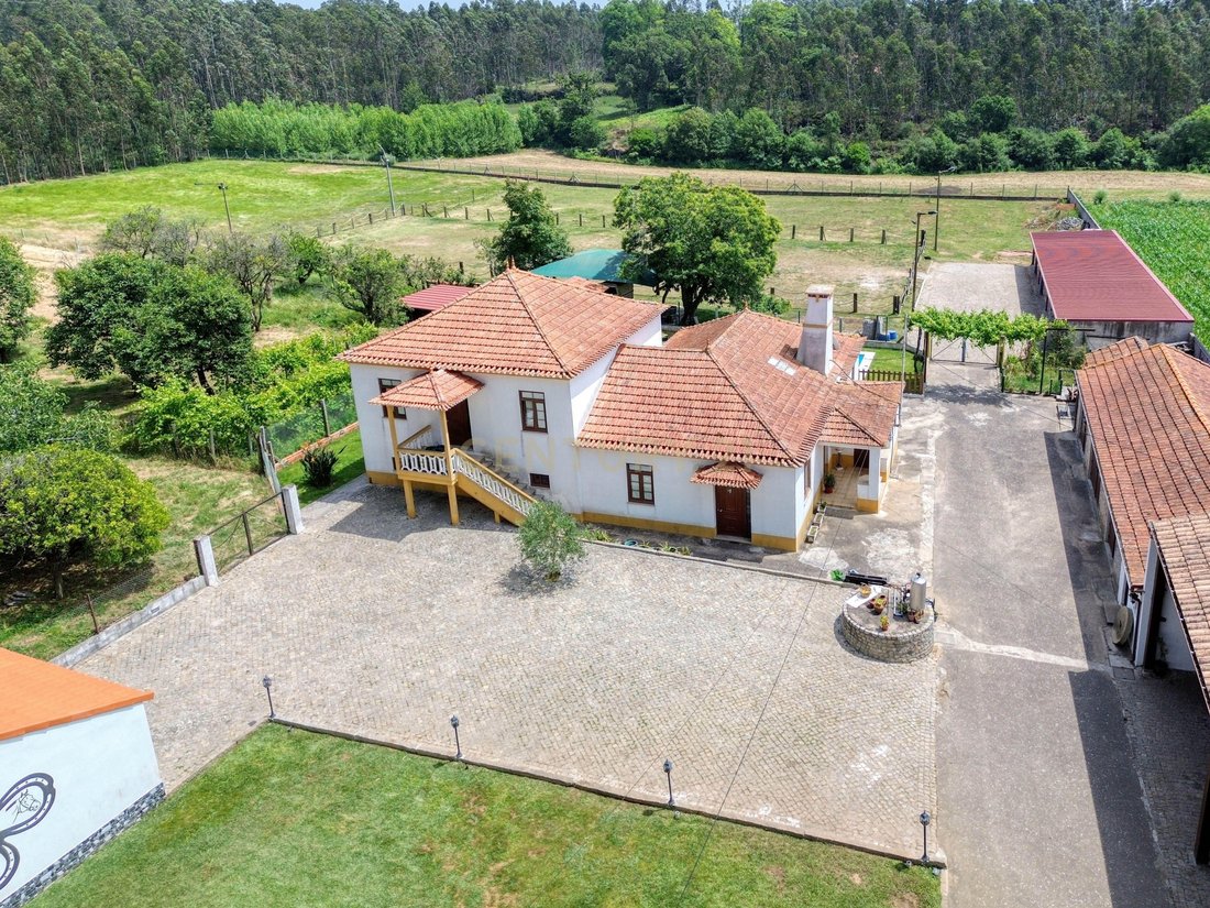 Farm Ranch in Valega, Aveiro District, Portugal 4 - 18974351
