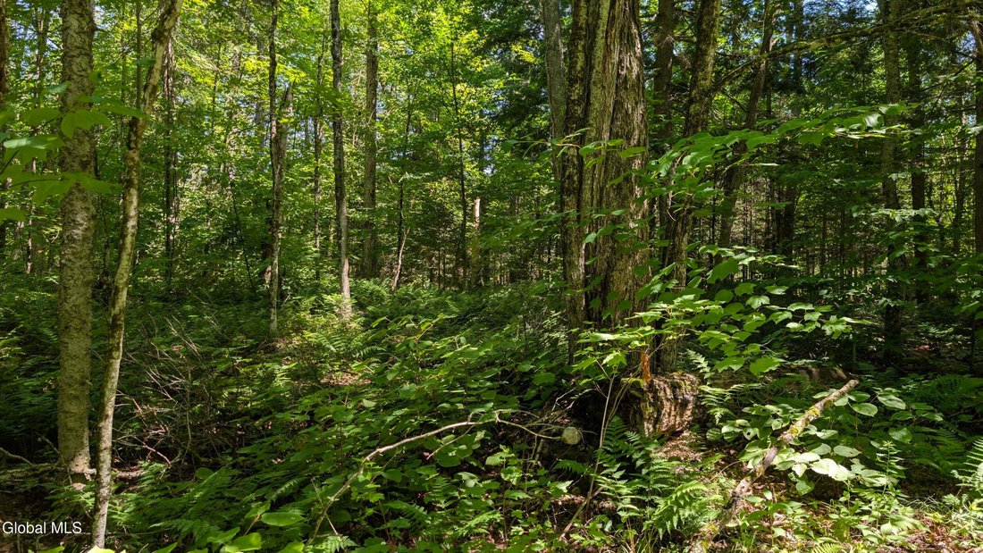 Land in Malone, New York, United States 4 - 18544712