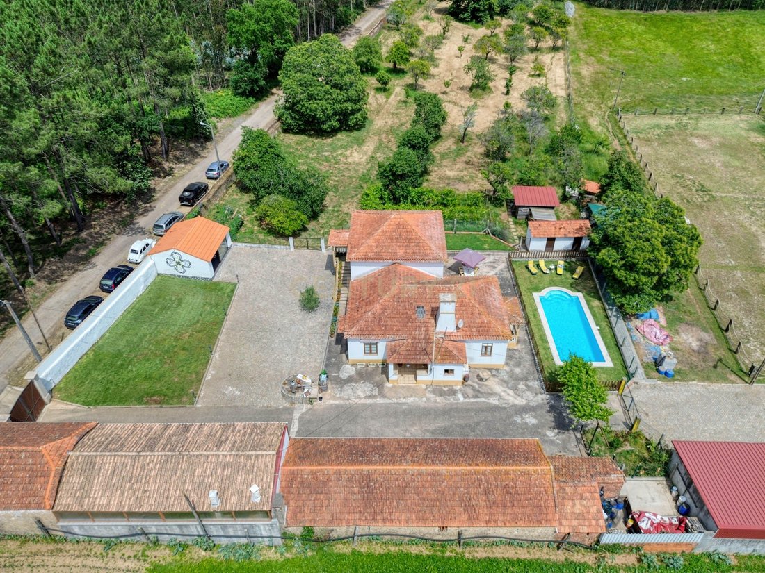 Farm Ranch in Valega, Aveiro District, Portugal 2 - 18974351