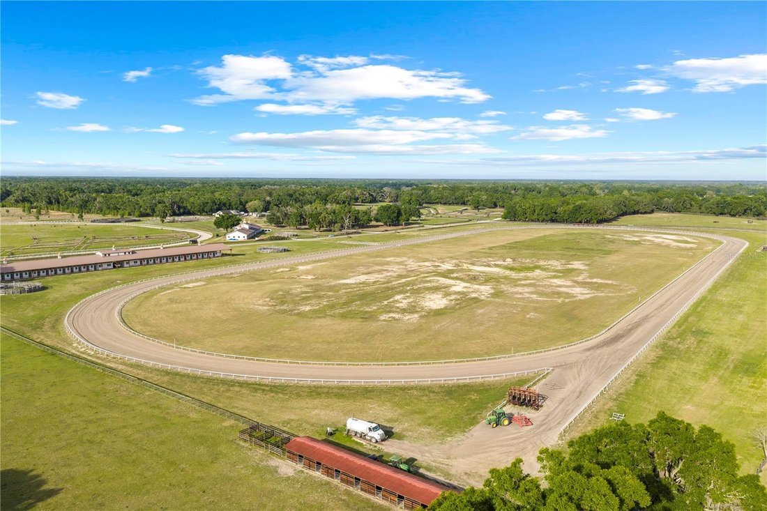 Farm Ranch in Reddick, Florida, United States 5 - 18978020