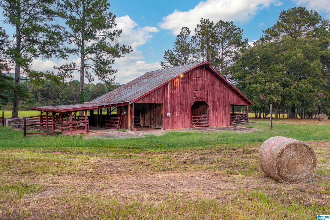 House in Anniston, Alabama, United States 5 - 18969731