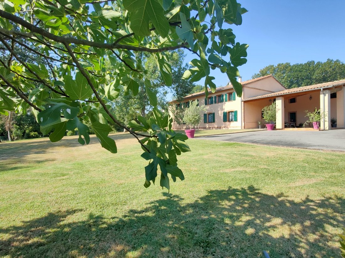 House in Vacquiers, Occitania, France 3 - 13343213